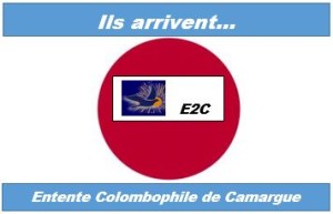 Logo E2C V 25 07 2015